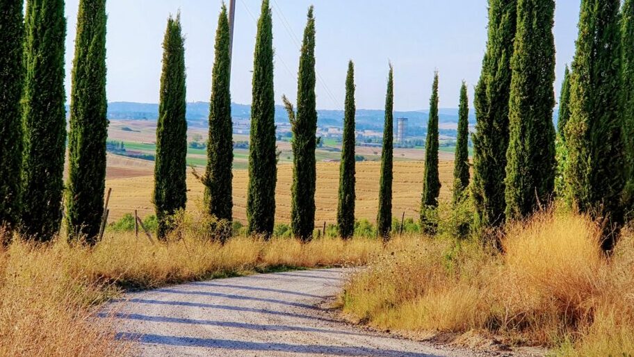 Francigena in Tuscany.