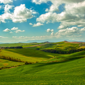 Heart of Tuscany